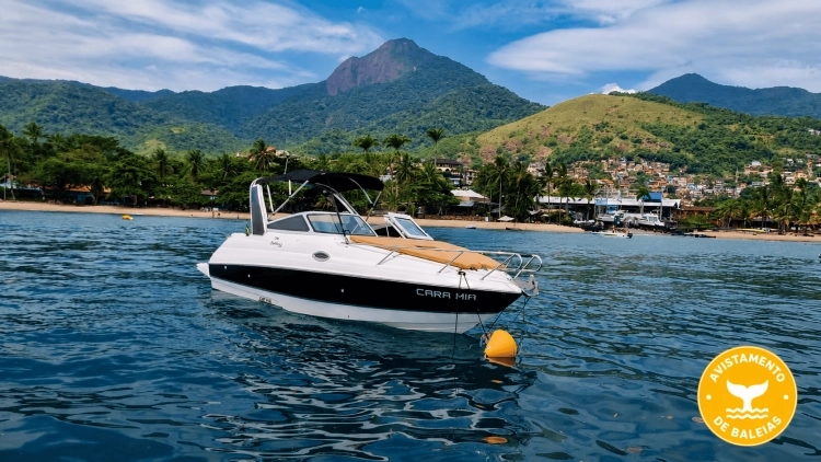 Avistamento exclusivo em uma Focker 255